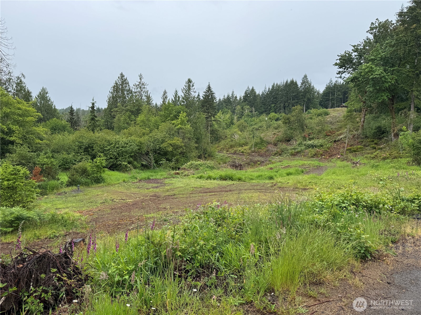 8143 Todderjen Lane Property Photo 2