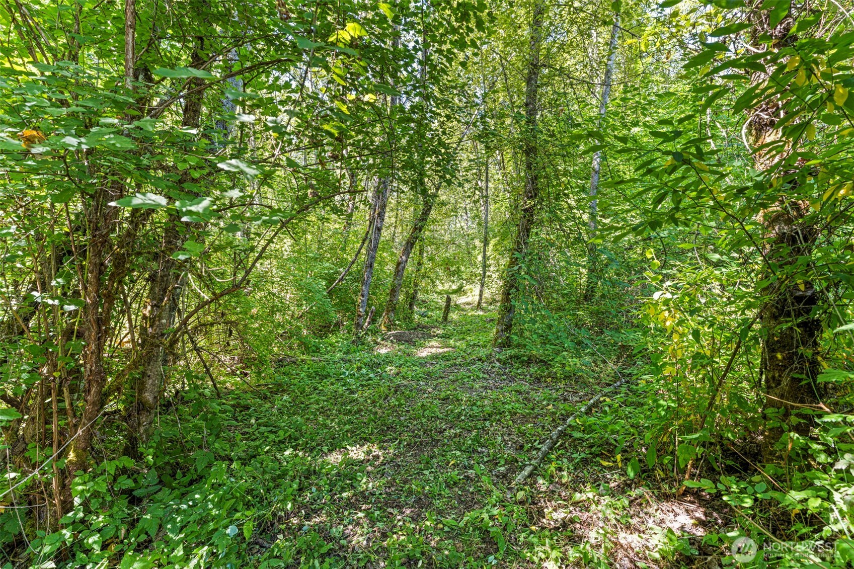22314 58th Property Photo 33