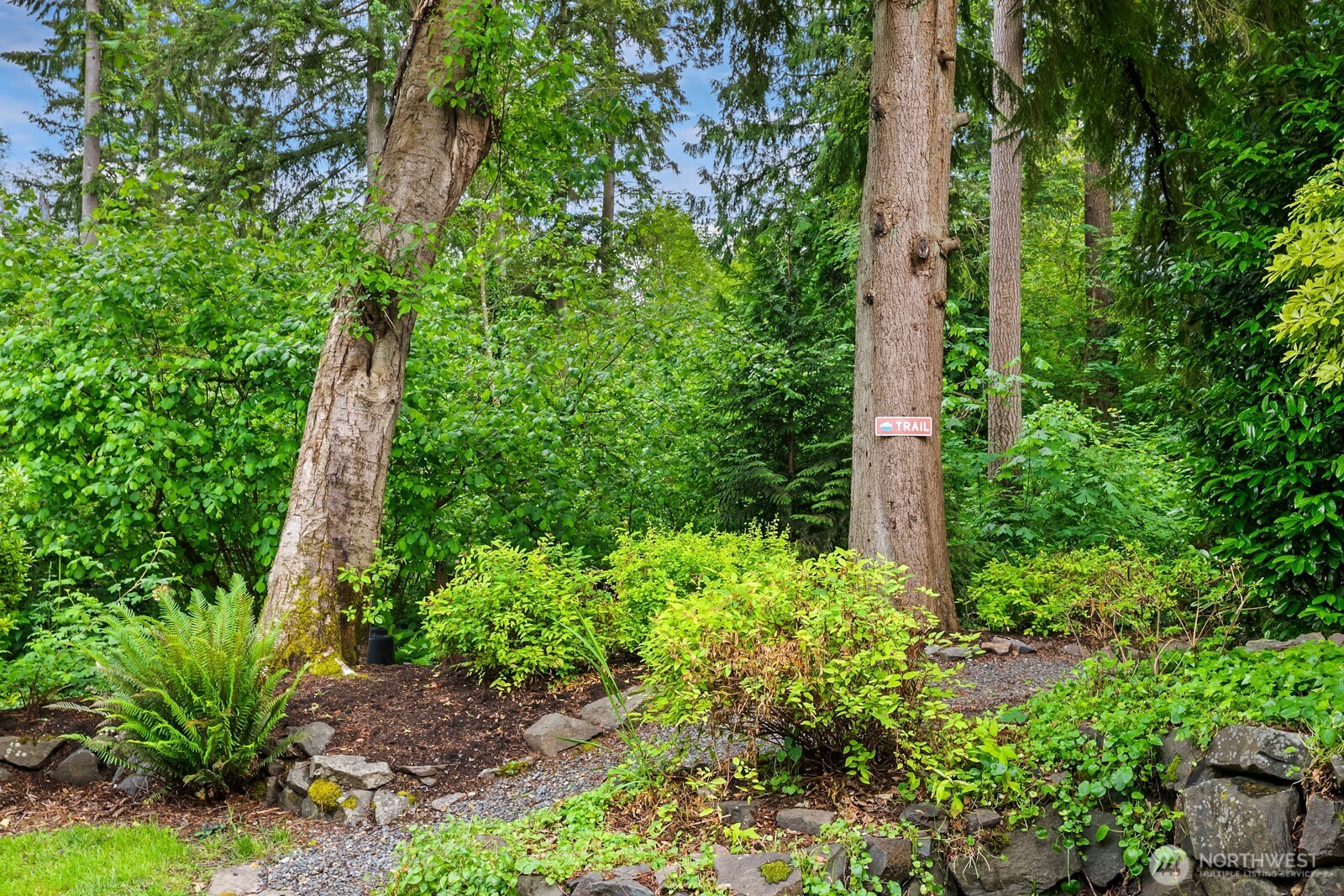 14009 Cascade Drive Property Photo 32