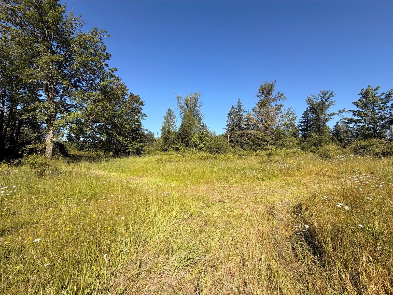 10252 400th Street Property Photo 1