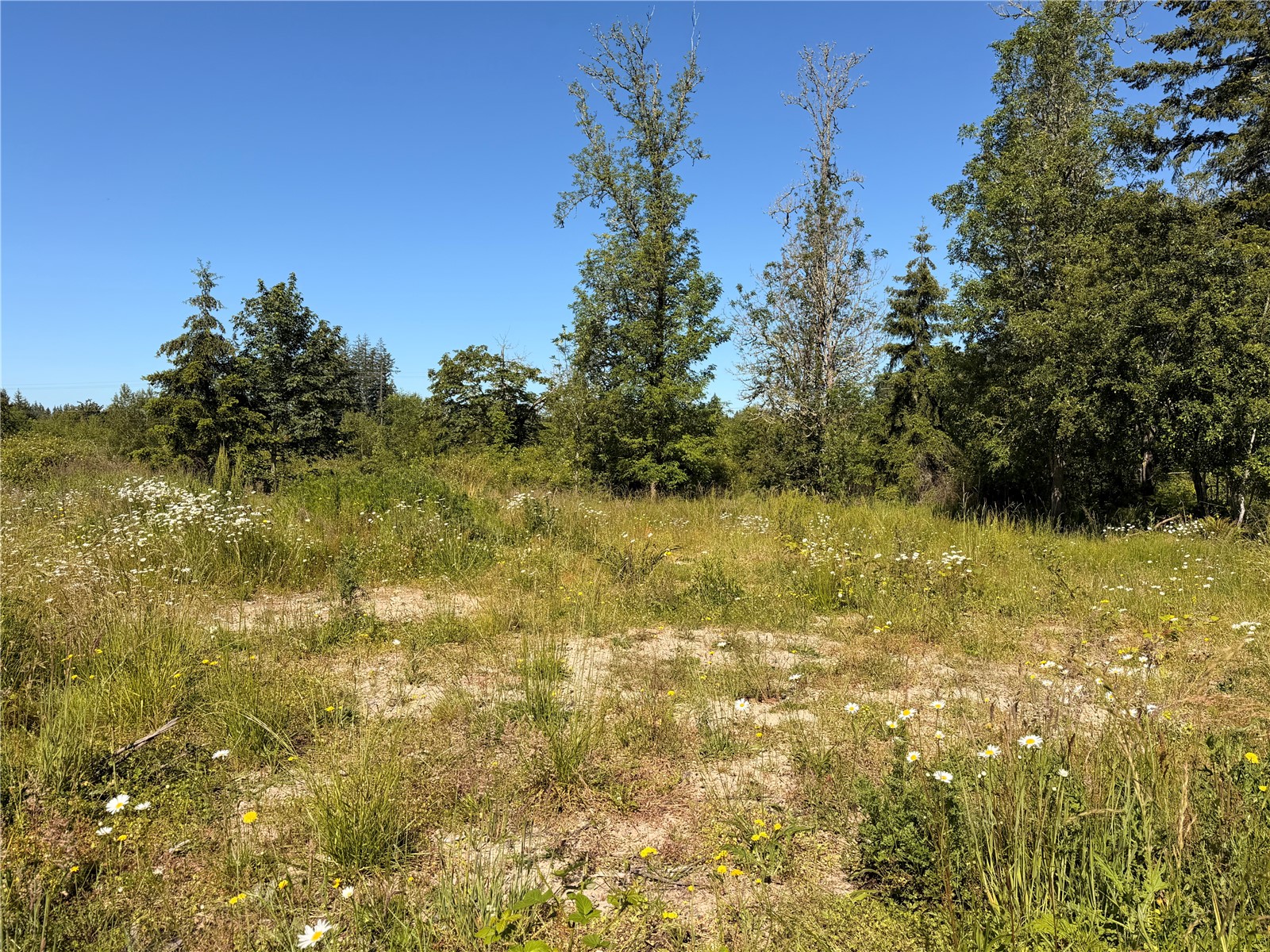 10252 400th Street Property Photo 4