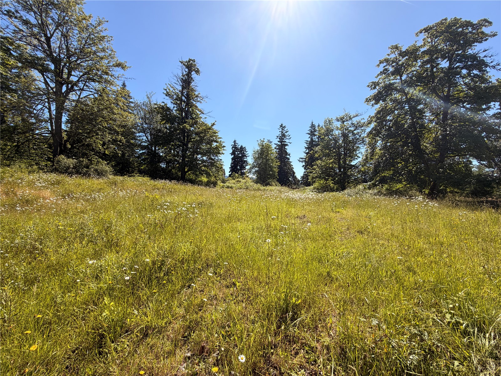 10252 400th Street Property Photo 5