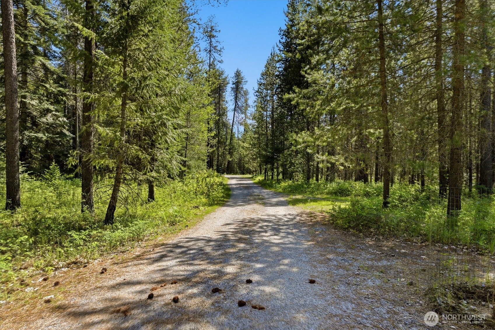 1142 Driskill Road Property Photo 4