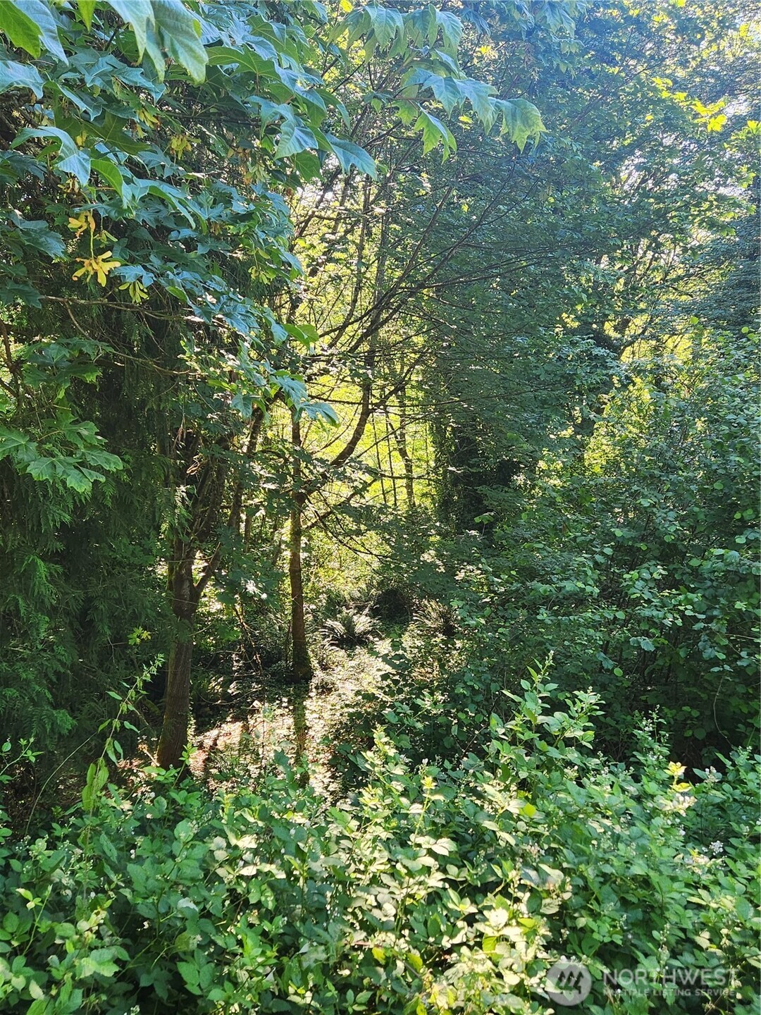 0 Morgan Road Property Photo 4