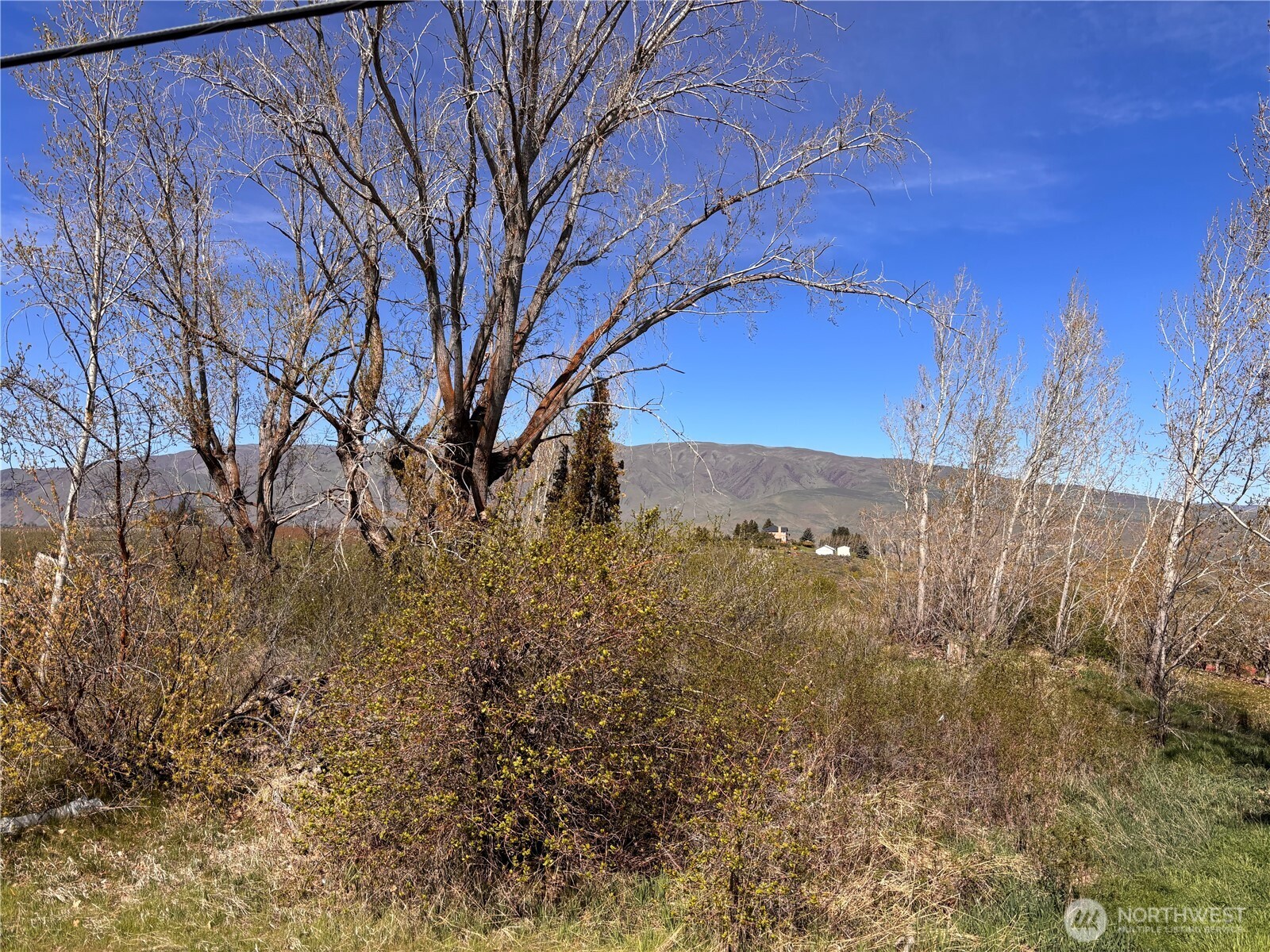 0 Rosenkranze Road Property Photo 2