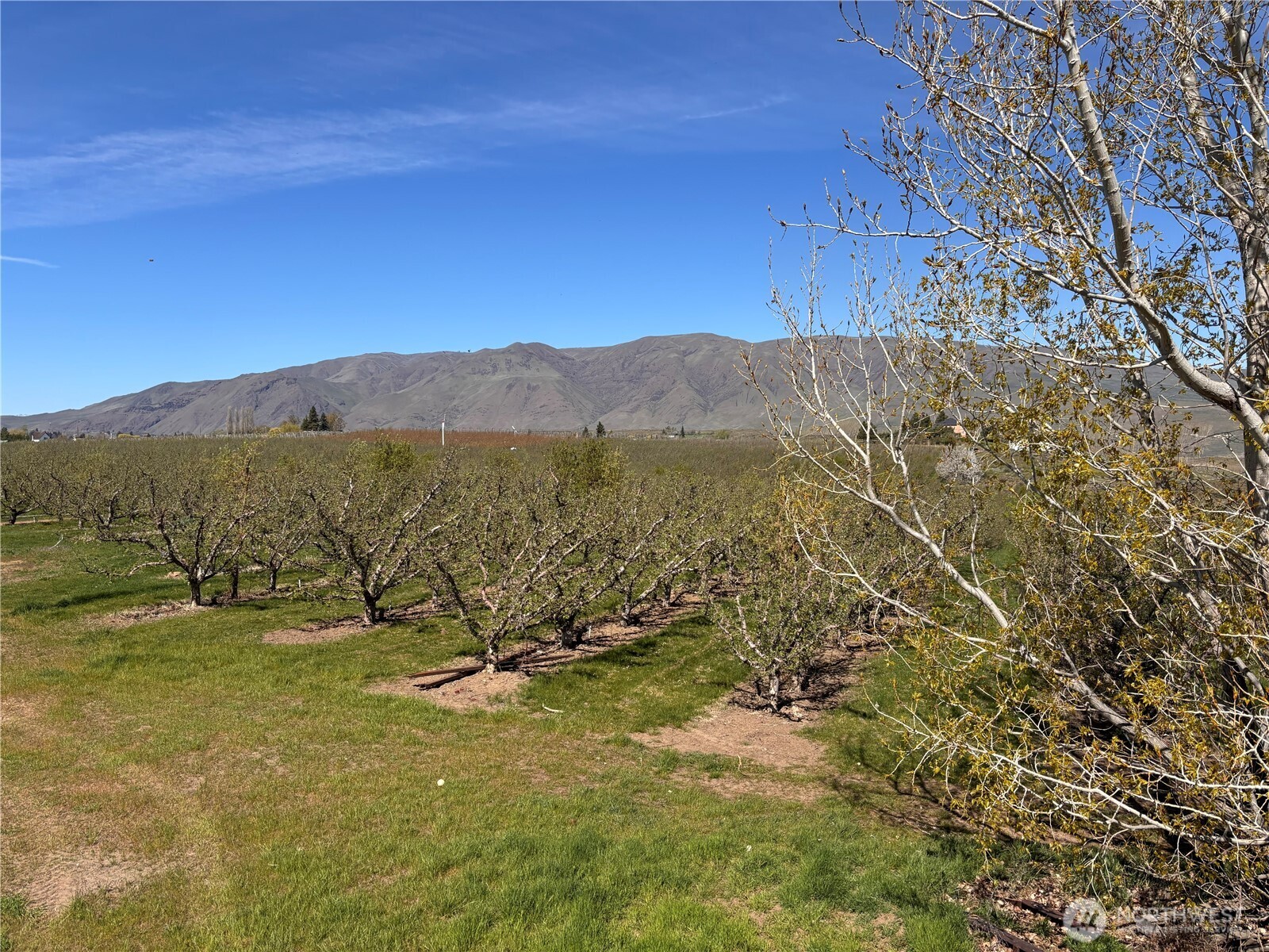 0 Rosenkranze Road Property Photo 4