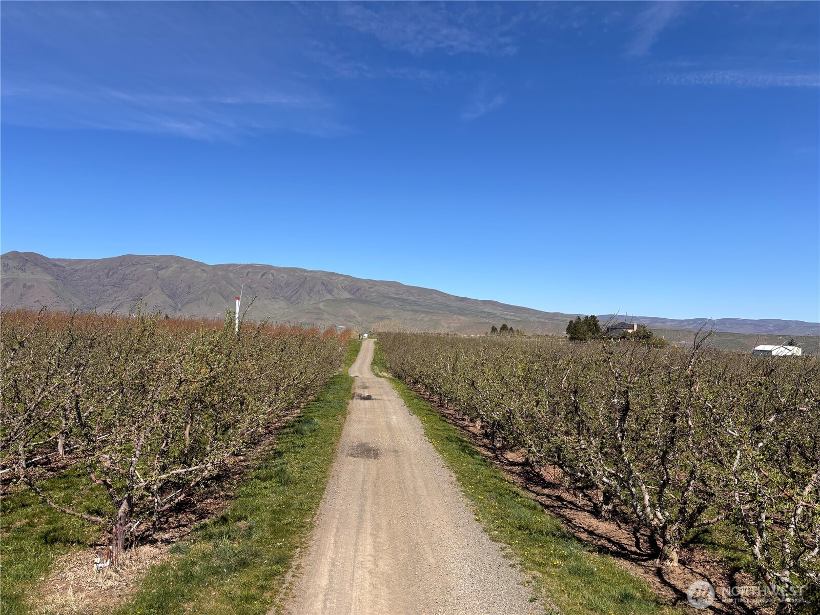 0 Rosenkranze Road Property Photo 1