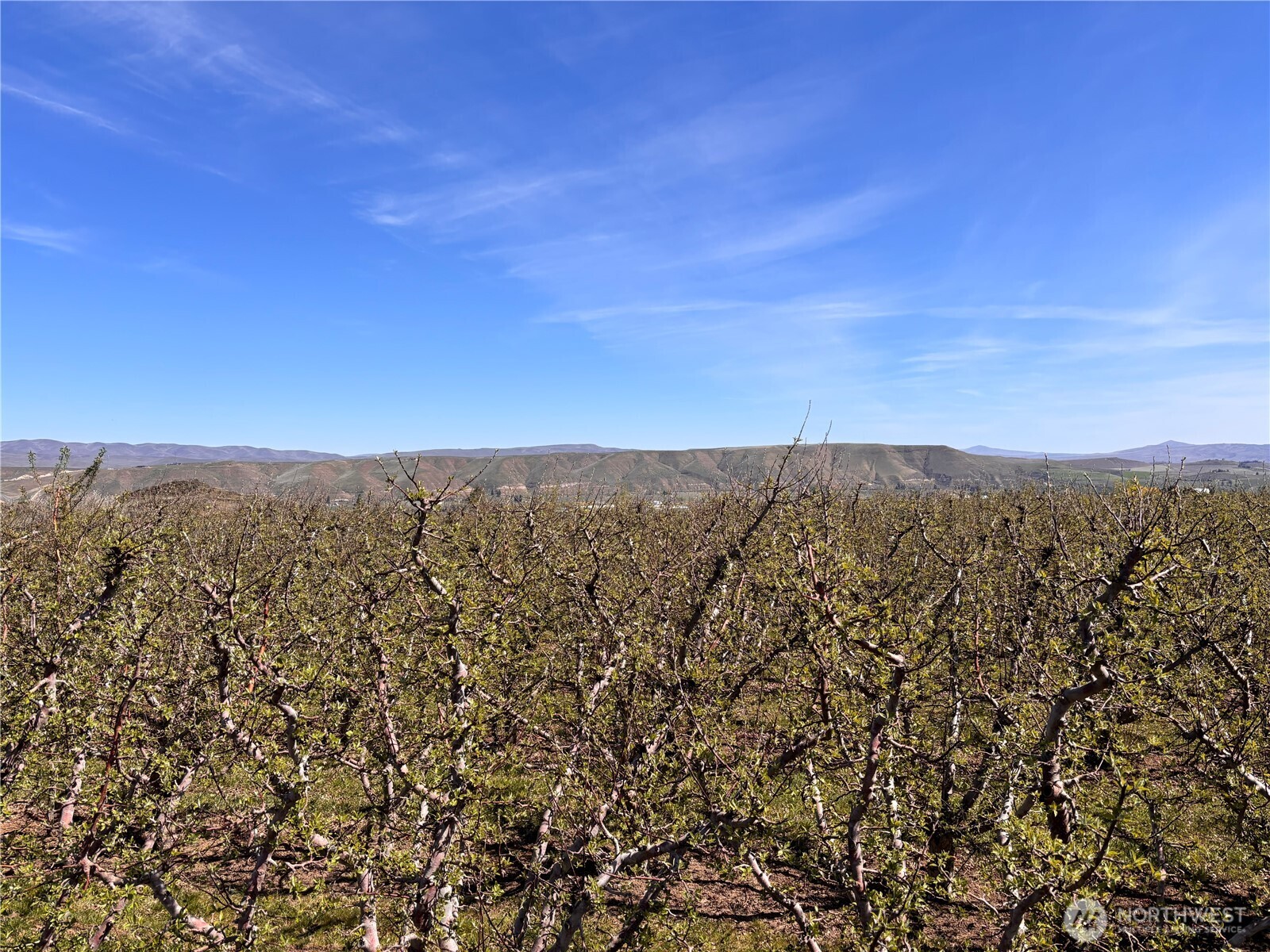 0 Rosenkranze Road Property Photo 3