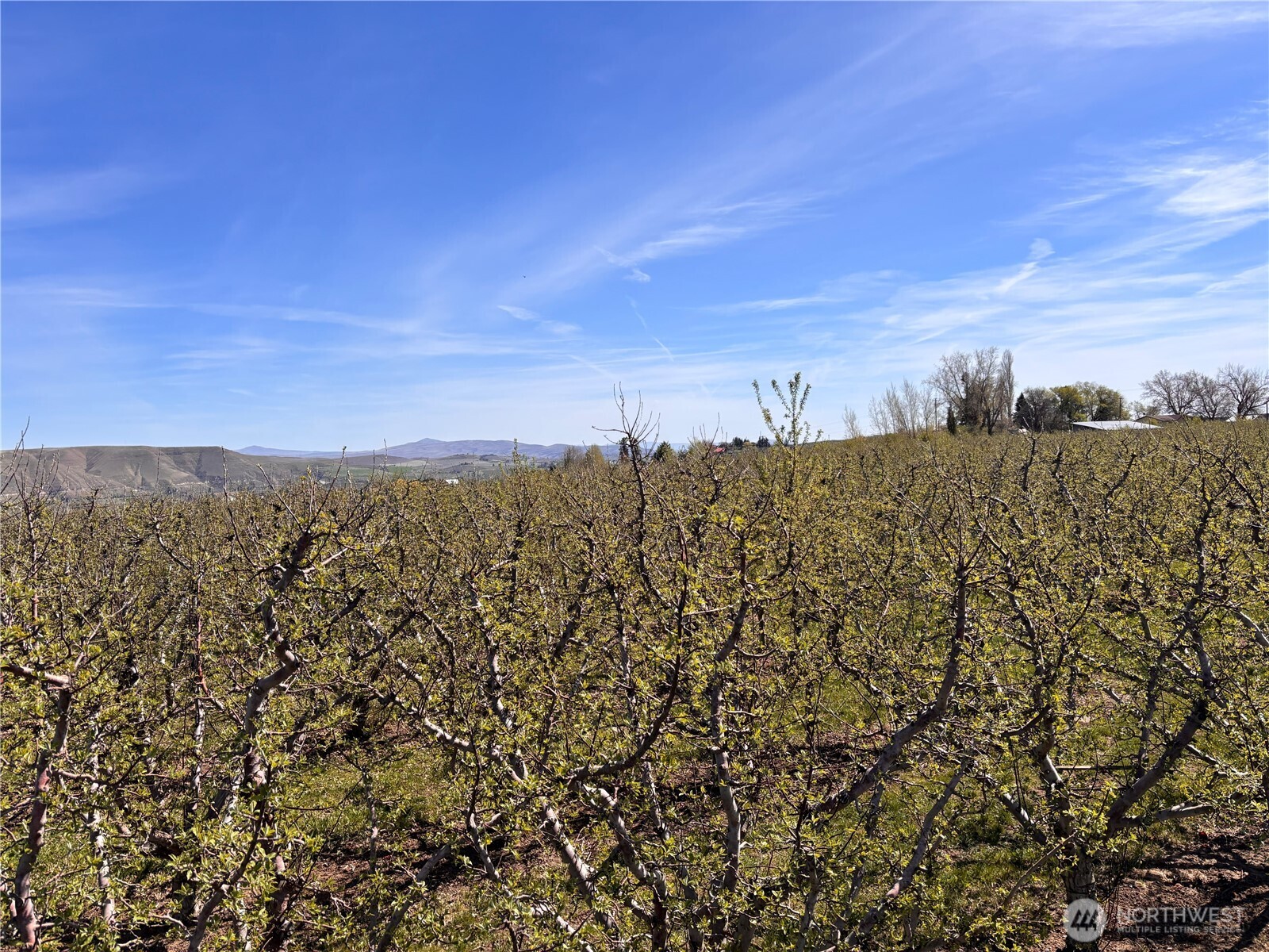 0 Rosenkranze Road Property Photo 4