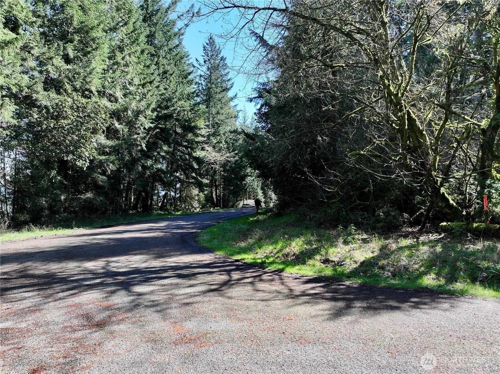 10111 Totem Way Property Photo 9