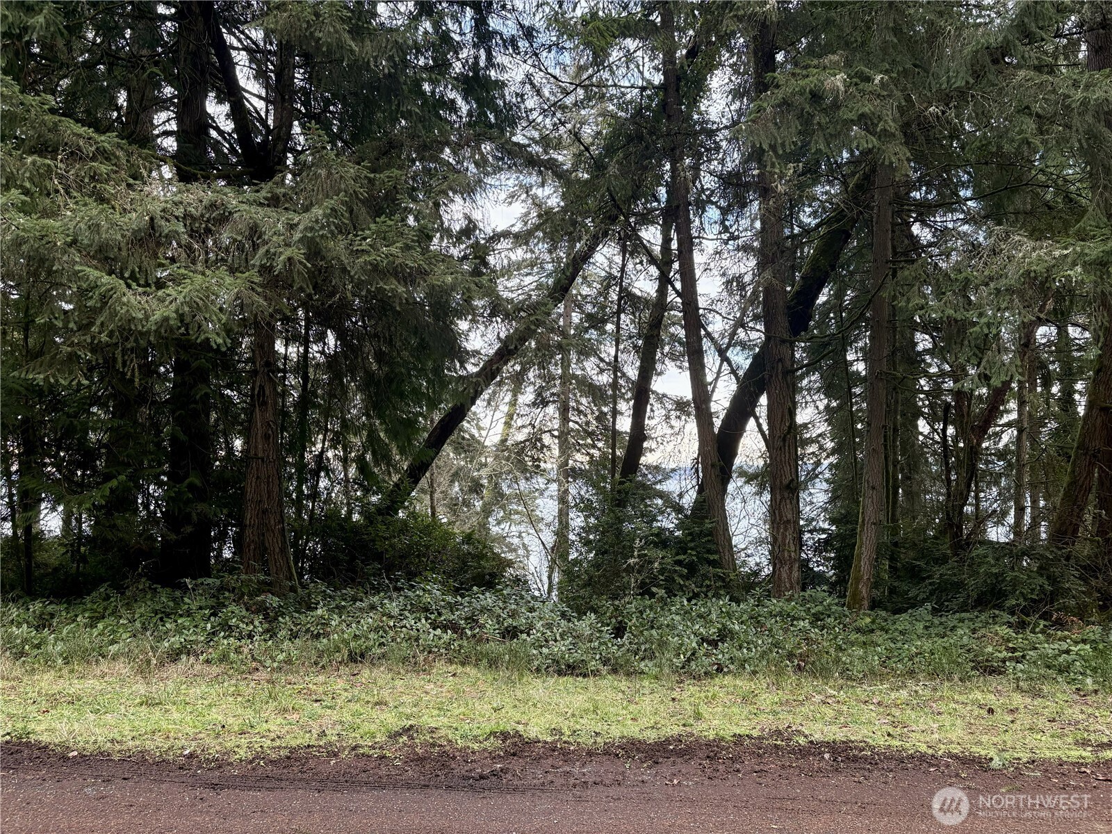 10111 Totem Way Property Photo 15