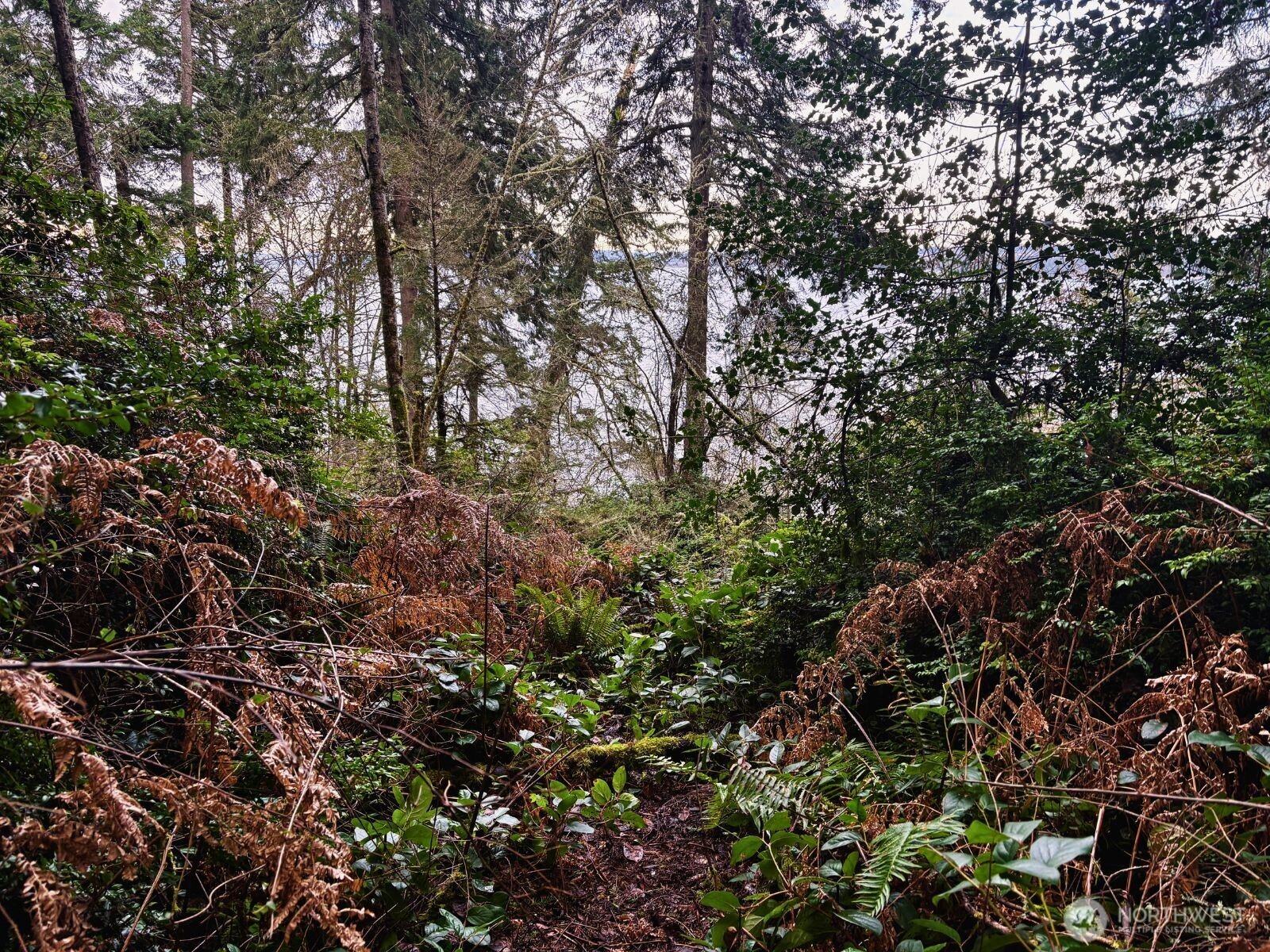 10111 Totem Way Property Photo 16