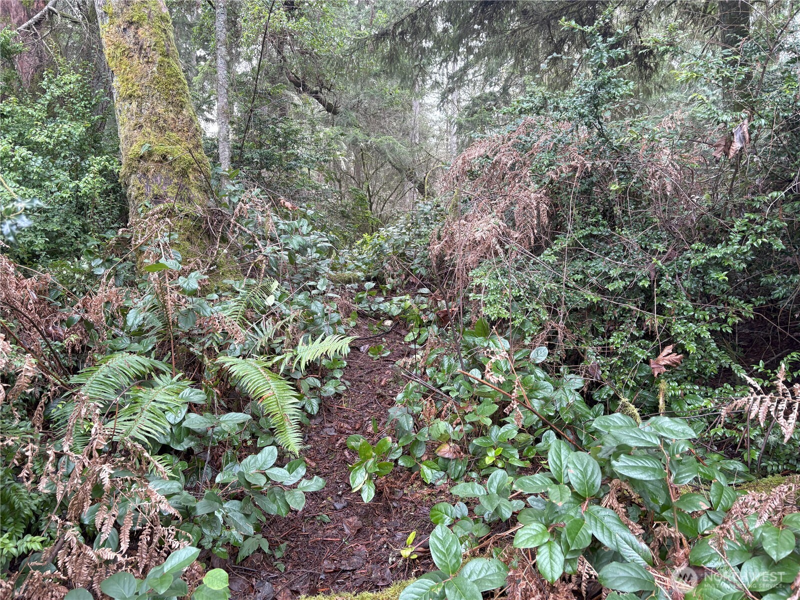 10111 Totem Way Property Photo 17