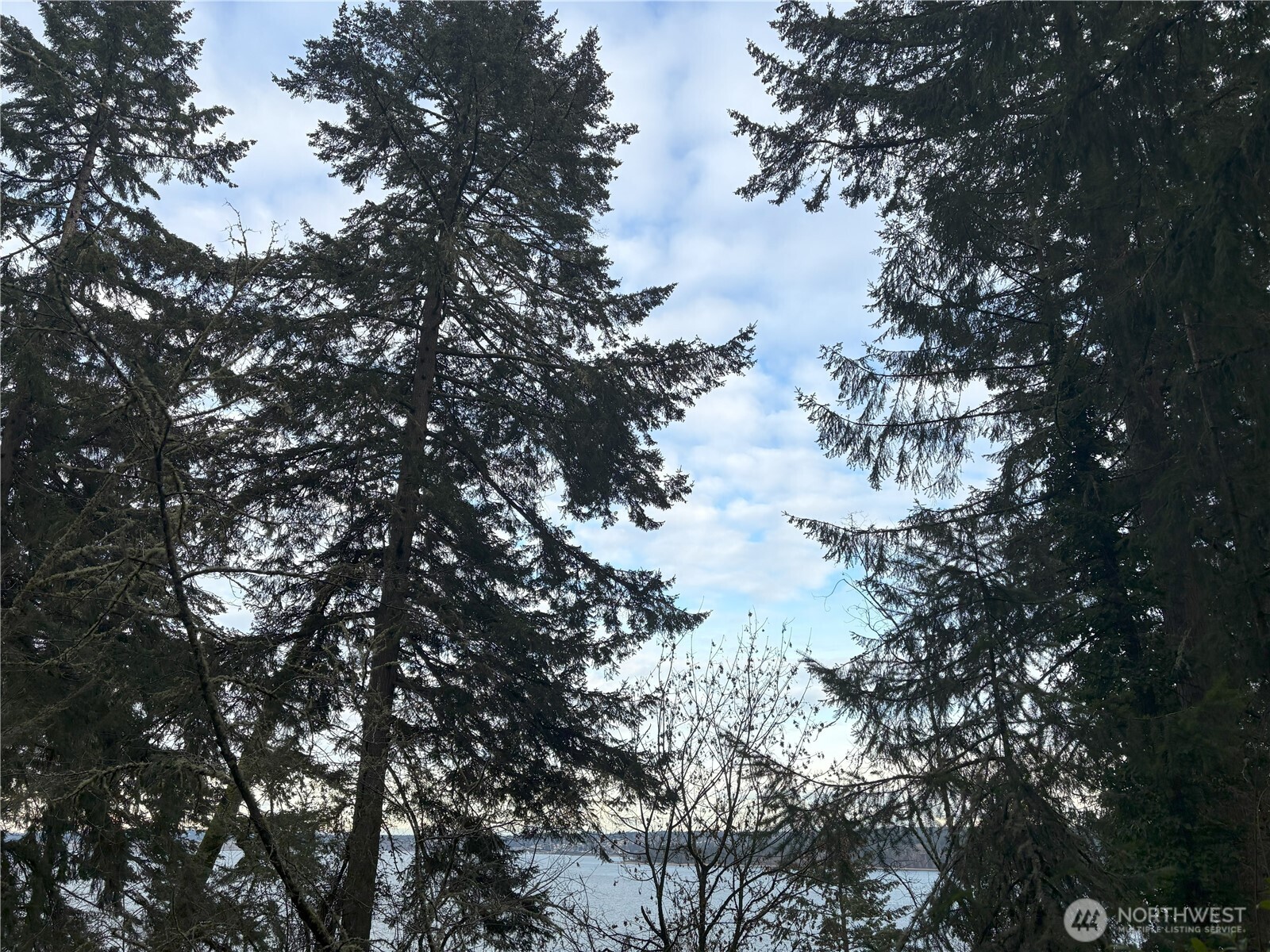 10111 Totem Way Property Photo 18