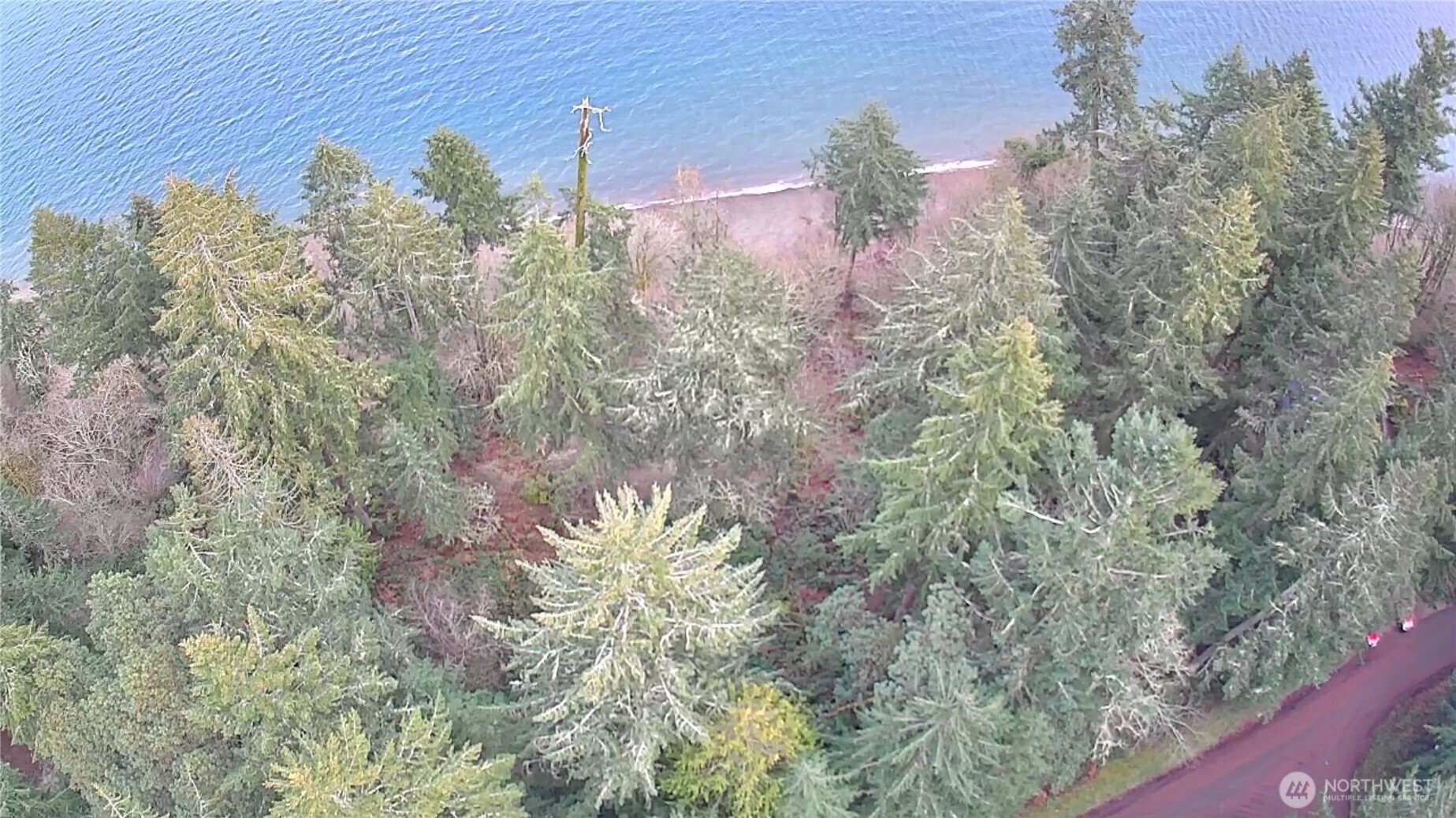 10111 Totem Way Property Photo 19