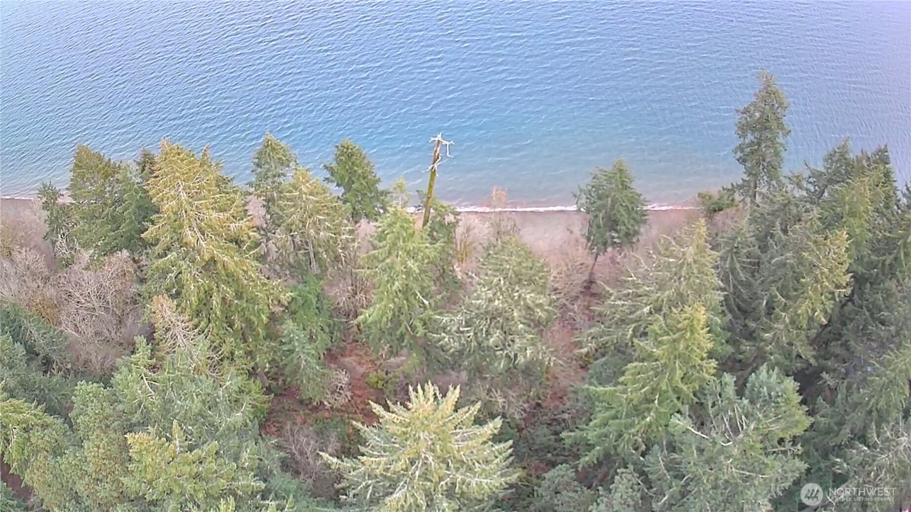 10111 Totem Way Property Photo 20