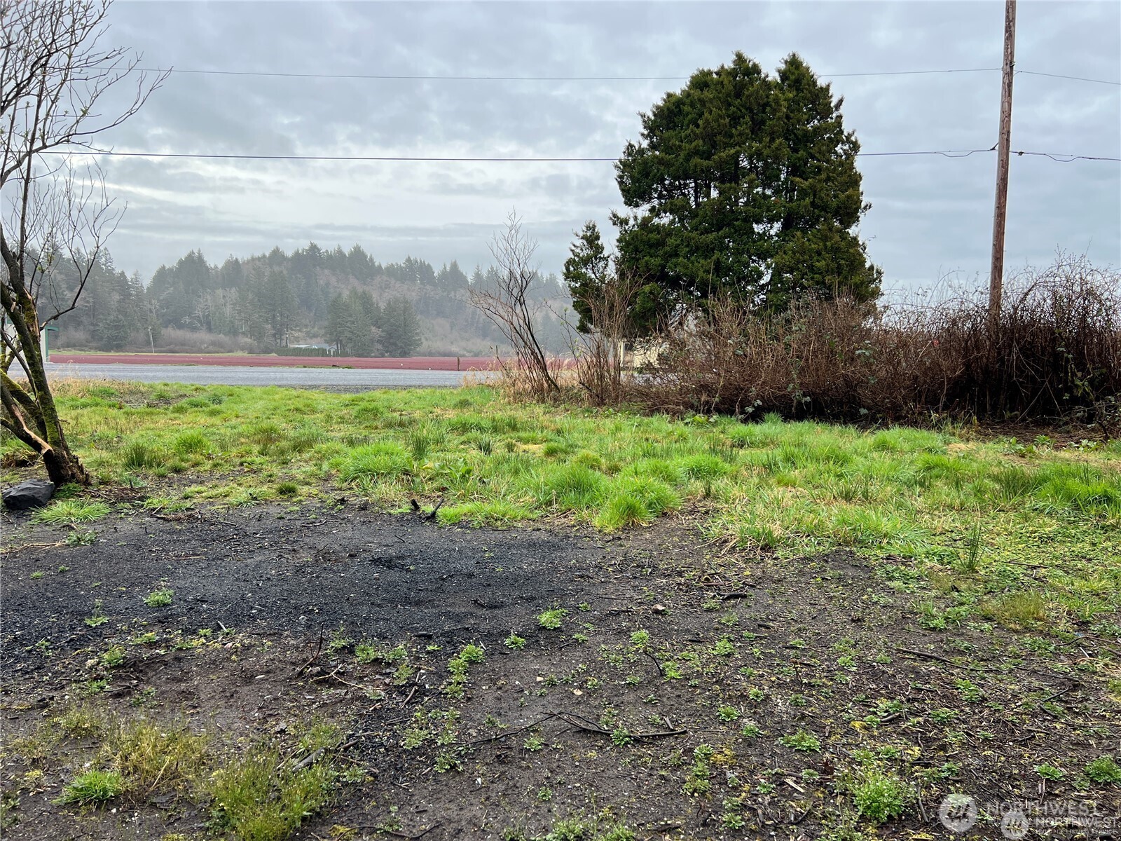 2361 Evergreen Park Road Property Photo 3
