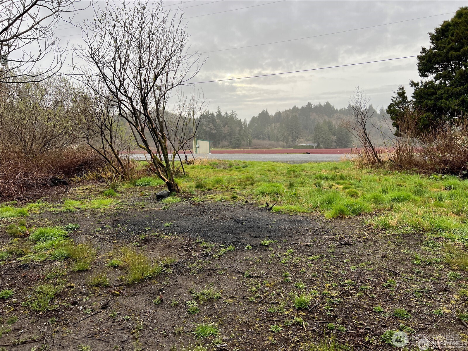 2361 Evergreen Park Road Property Photo 5