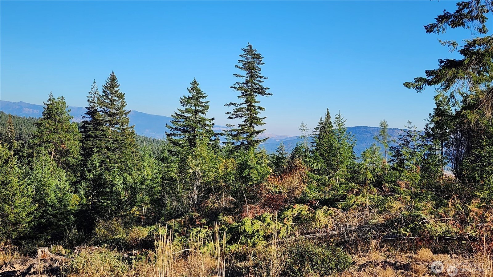 190 Skyline Ridge (lot 55) Drive Property Photo 6