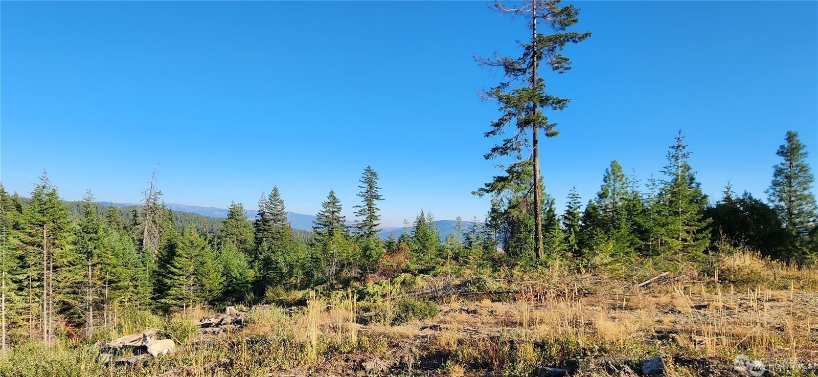 190 Skyline Ridge (lot 55) Drive Property Photo 25