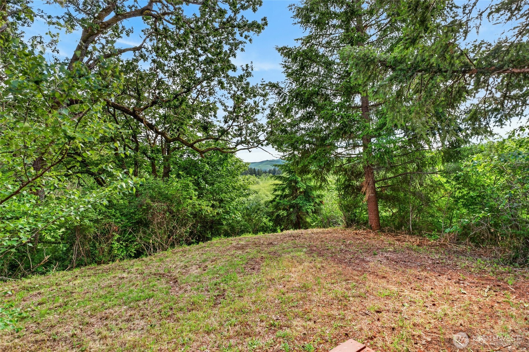 2538952 Property Photo 33