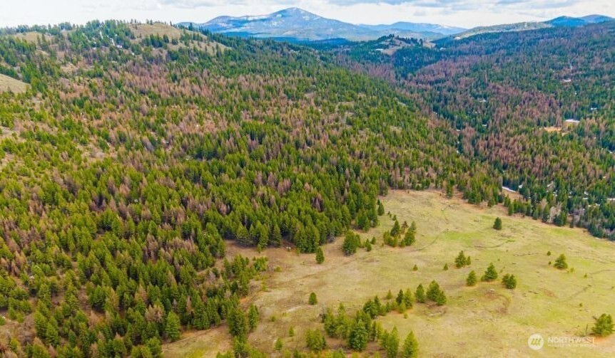 0 Xyz Cougar Creek Road Property Photo 1
