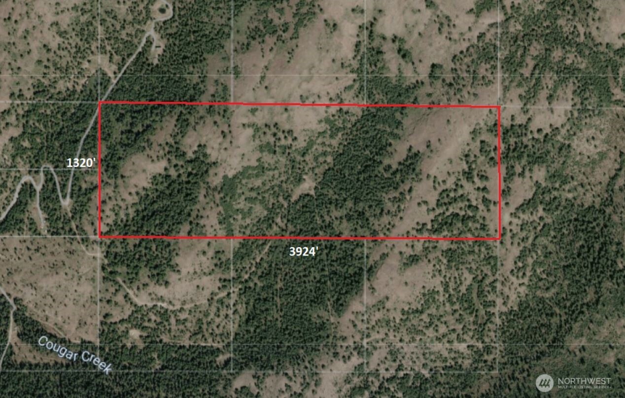 0 Xyz Cougar Creek Road Property Photo 4