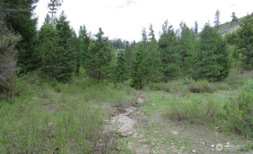 0 Xyz Cougar Creek Road Property Photo 5