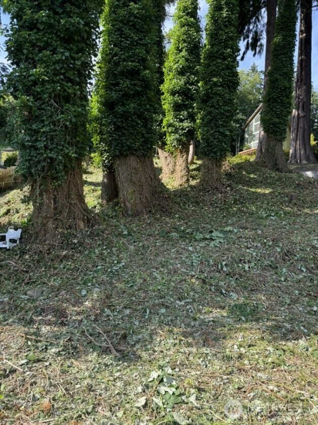 690 X Olive Avenue Property Photo 3