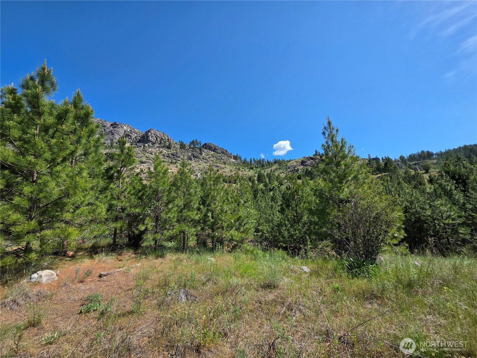 431 J Swanson Hill Road Property Photo 6