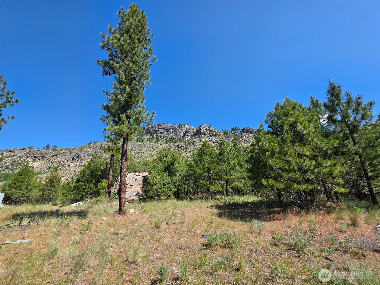 431 J Swanson Hill Road Property Photo 10