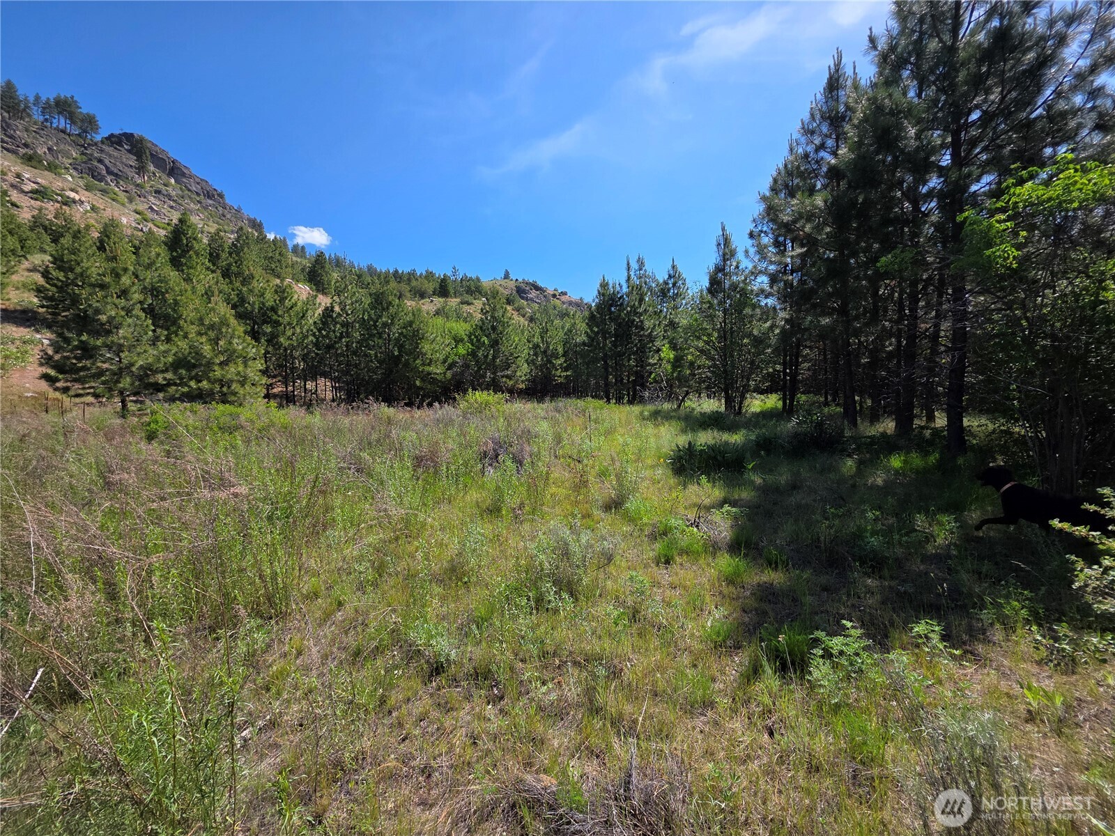 431 J Swanson Hill Road Property Photo 19
