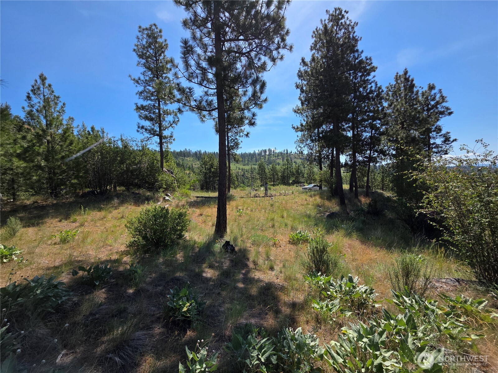 431 J Swanson Hill Road Property Photo 27