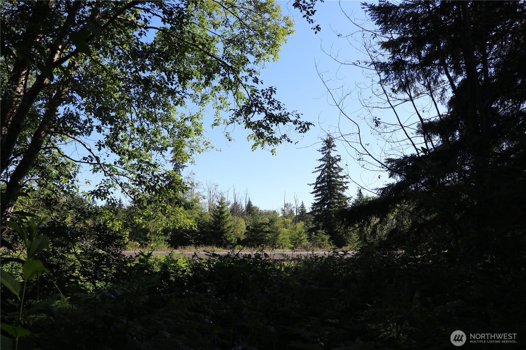 8580 Portal Way Property Photo 32