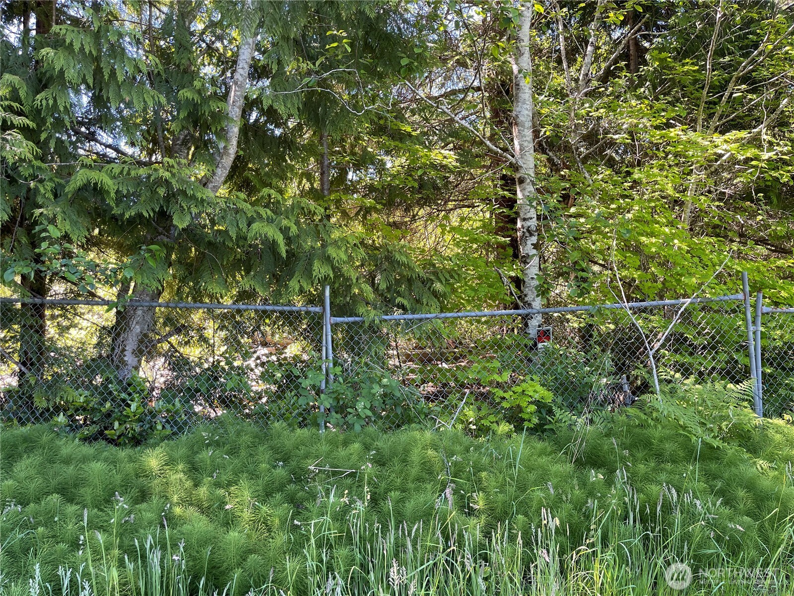 20 Keal Road Property Photo 2