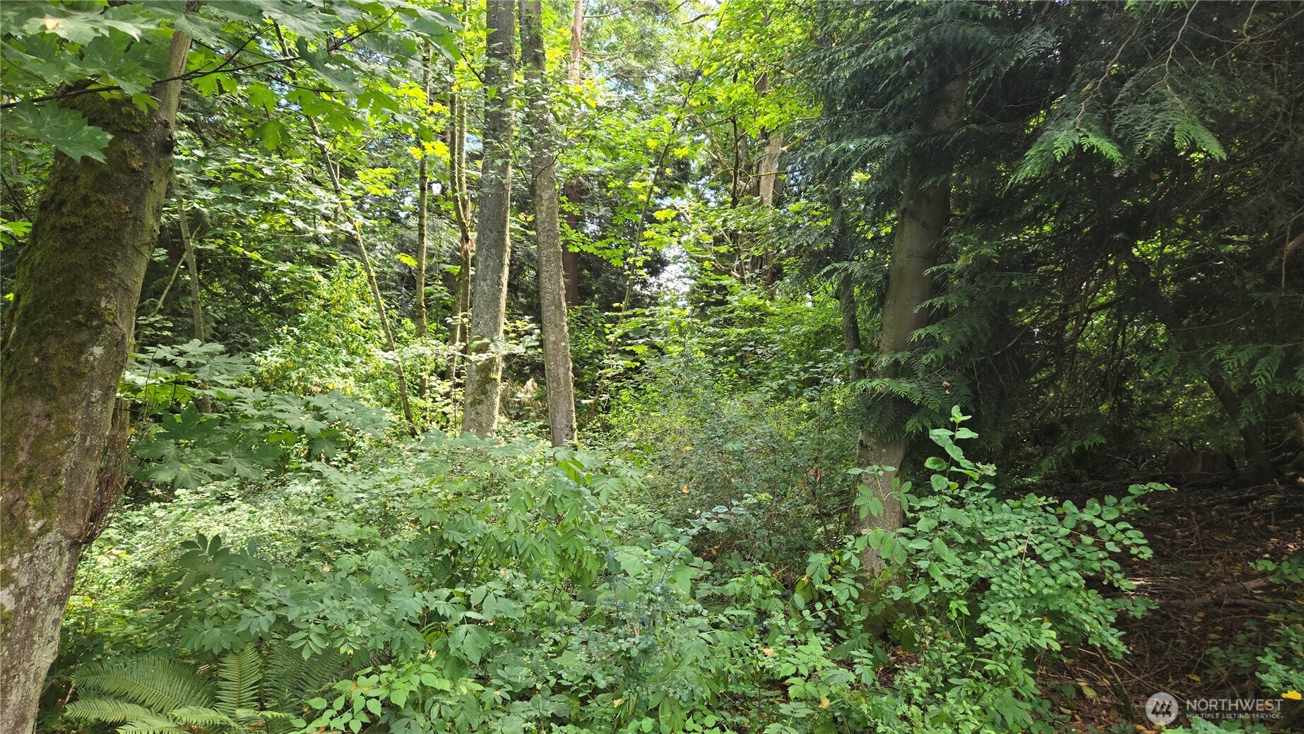 8855 Wood Duck Way Property Photo 11