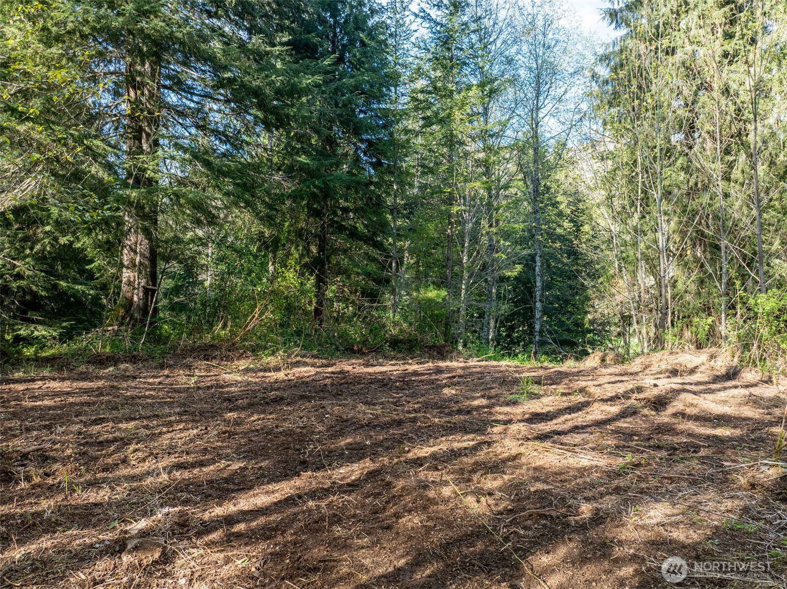 0 Davis Lake Road Property Photo 1