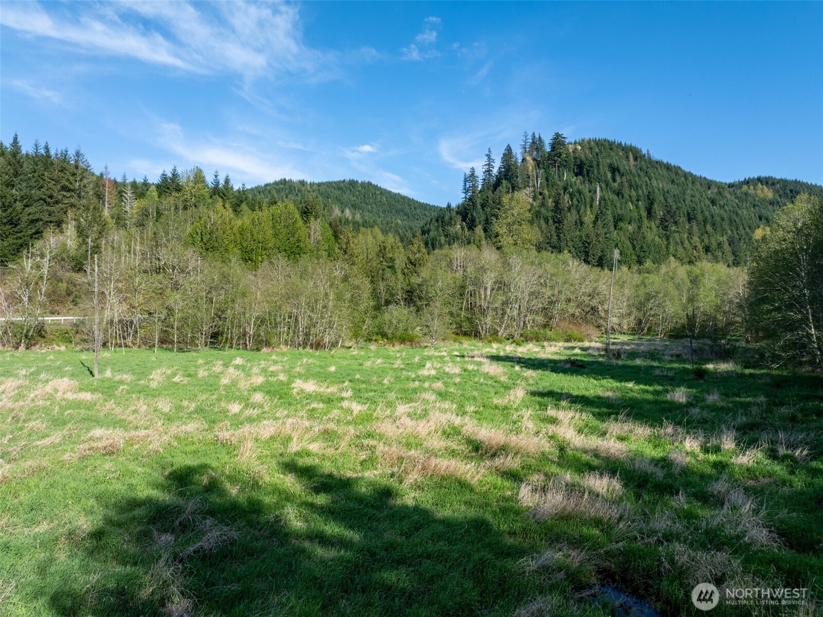 0 Davis Lake Road Property Photo 8