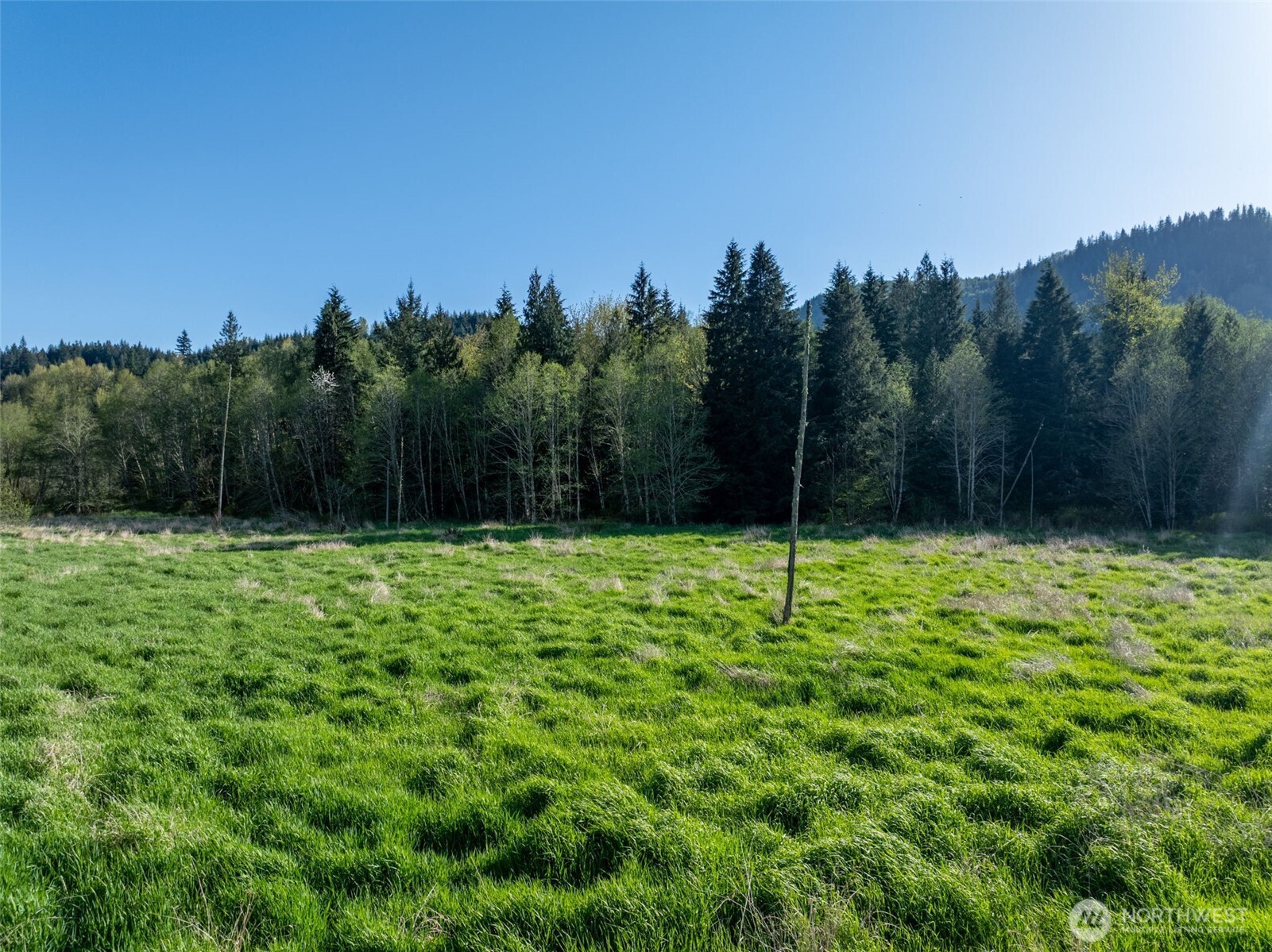 0 Davis Lake Road Property Photo 9