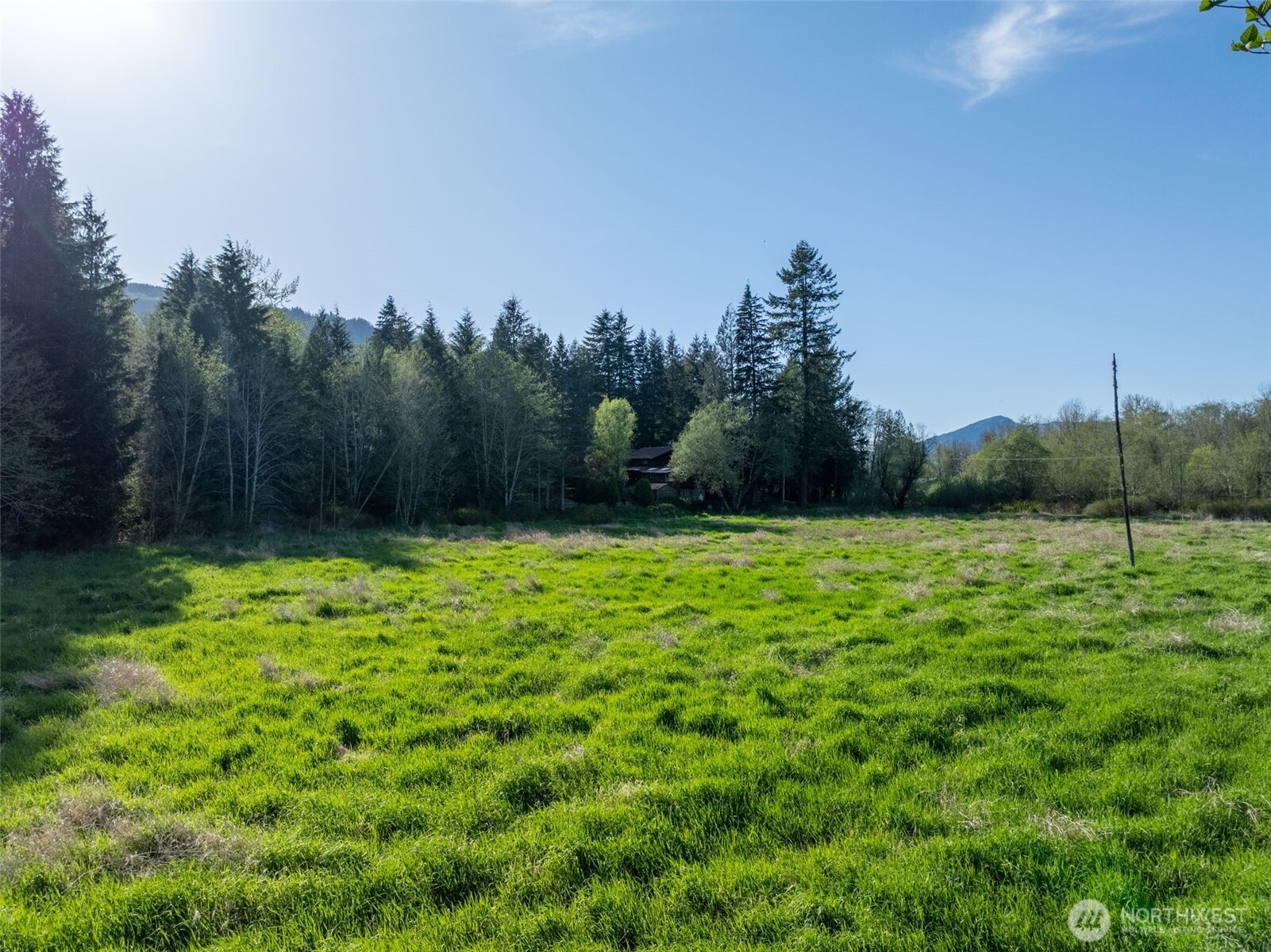 0 Davis Lake Road Property Photo 11