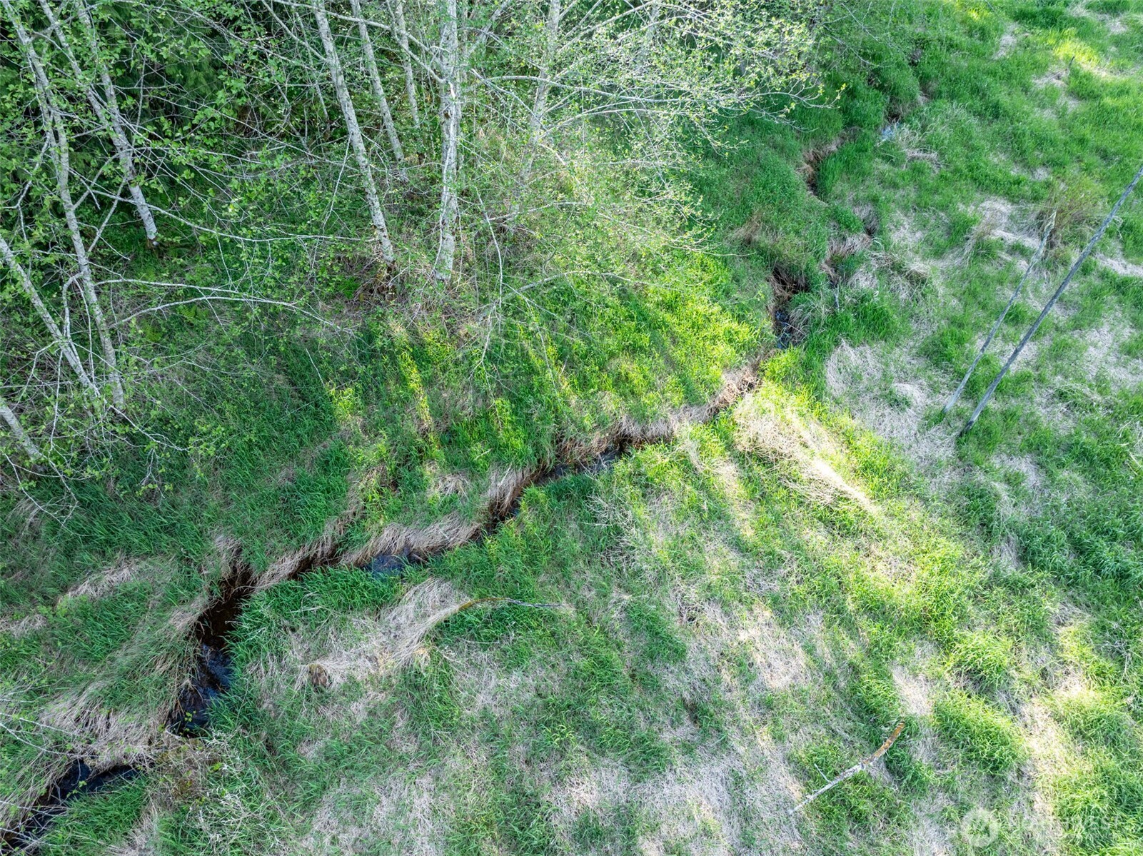 0 Davis Lake Road Property Photo 13