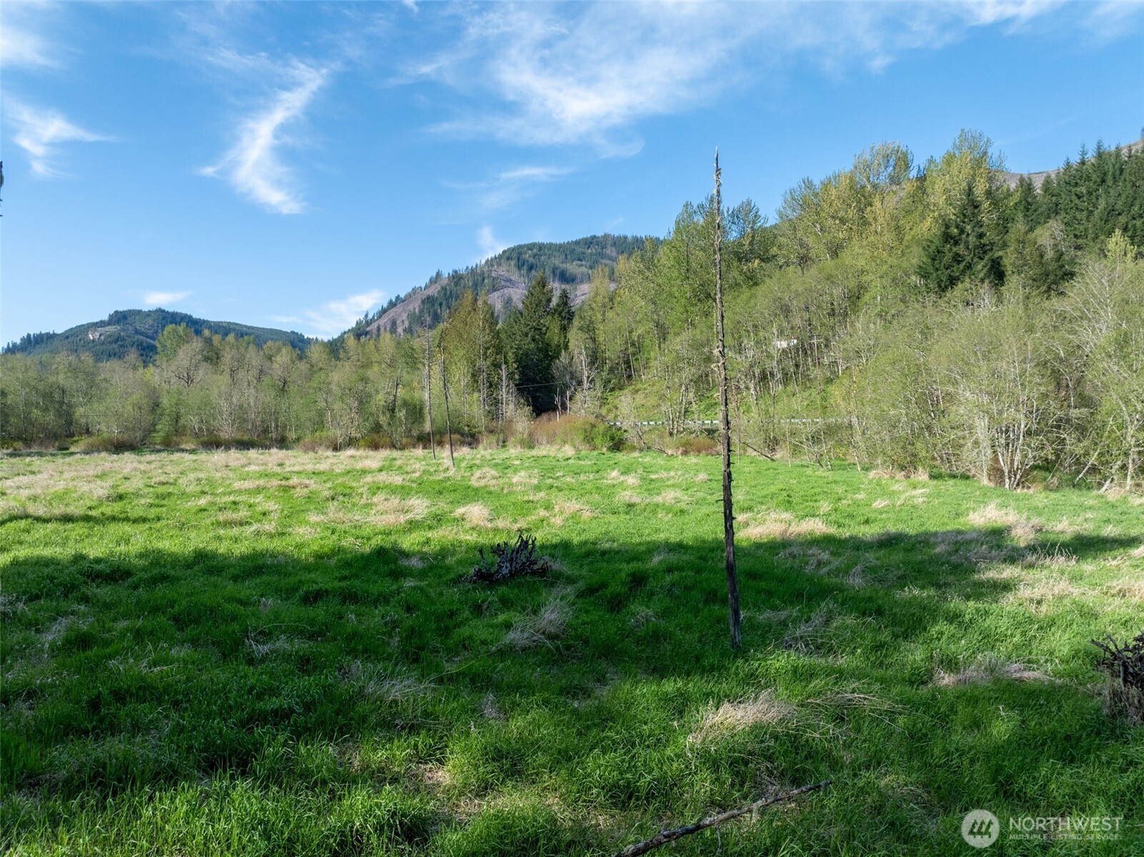 0 Davis Lake Road Property Photo 14