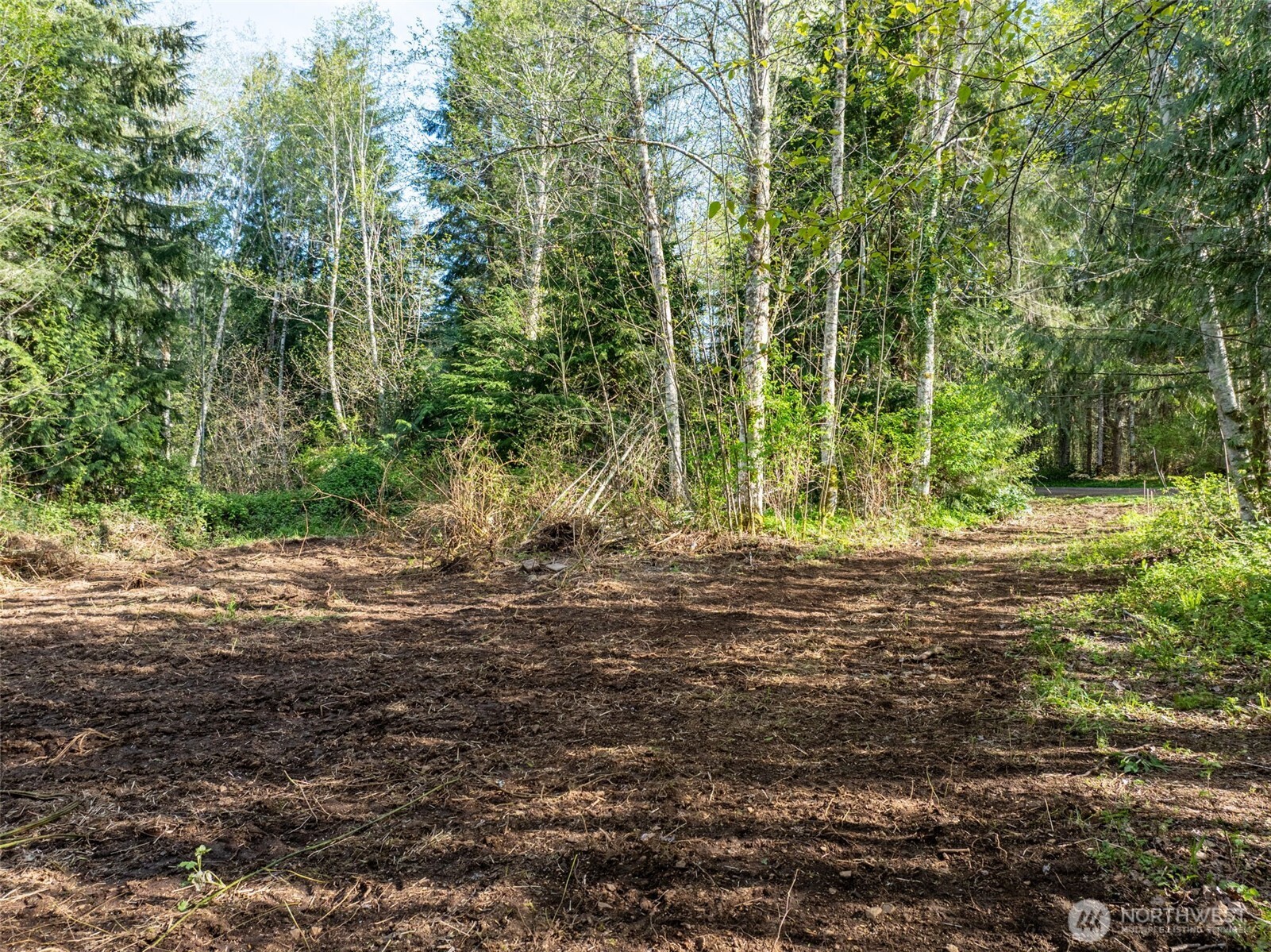 0 Davis Lake Road Property Photo 19