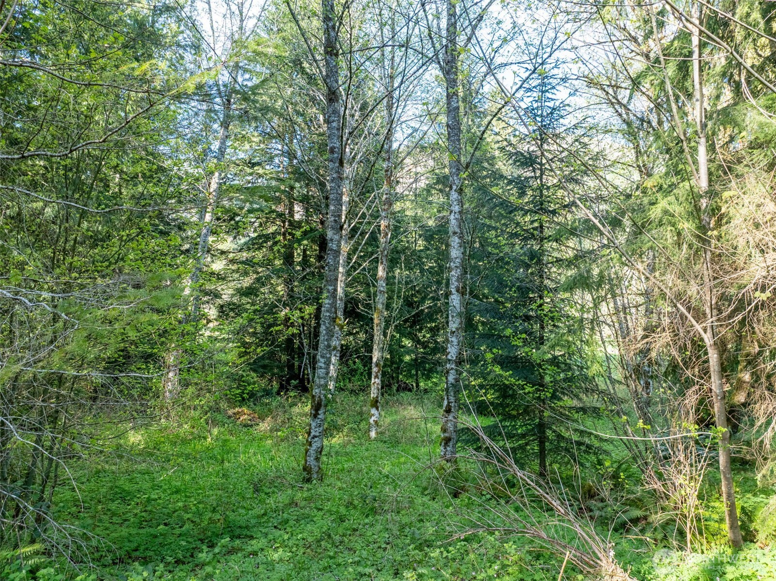 0 Davis Lake Road Property Photo 20