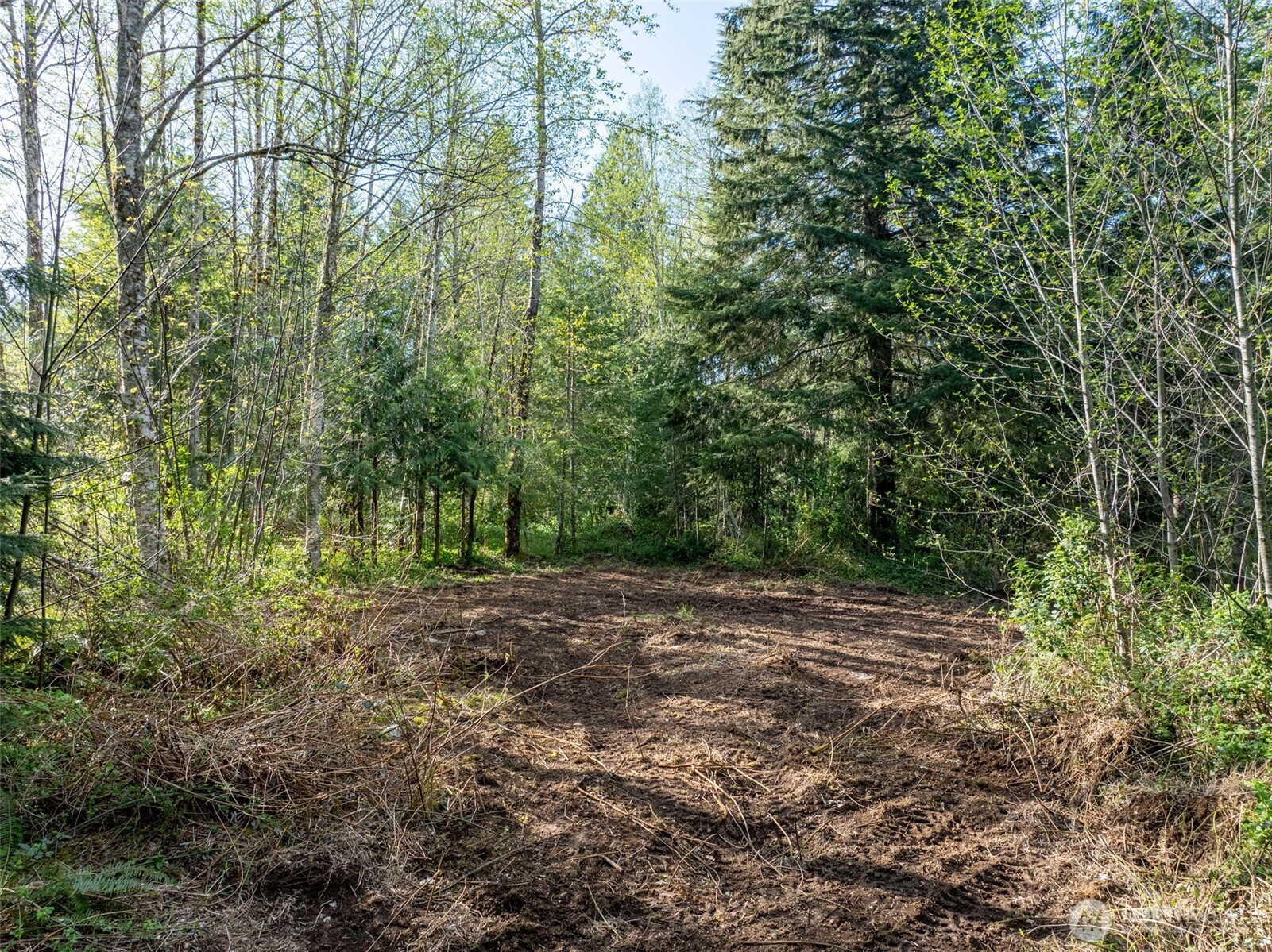 0 Davis Lake Road Property Photo 21