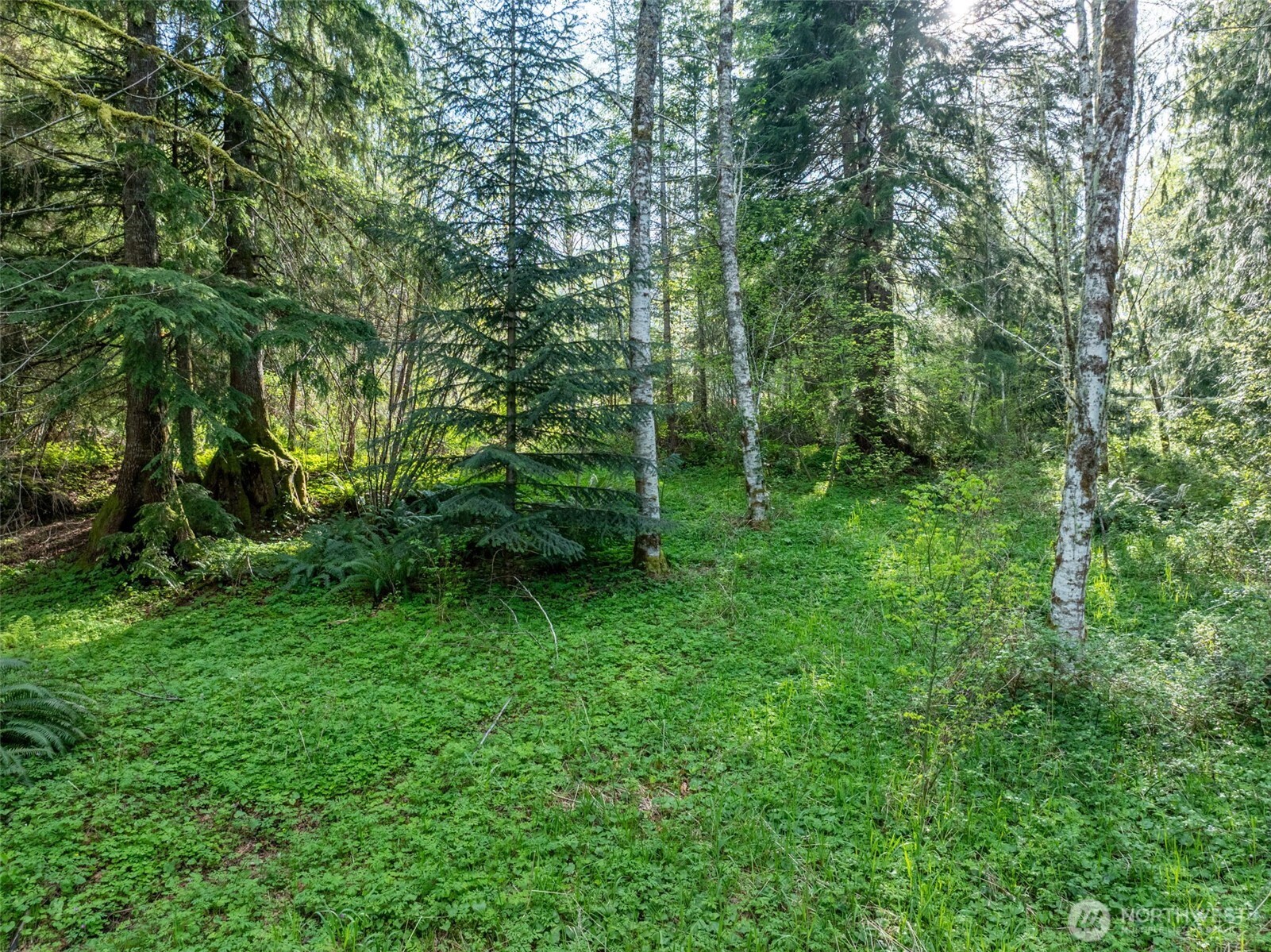 0 Davis Lake Road Property Photo 23