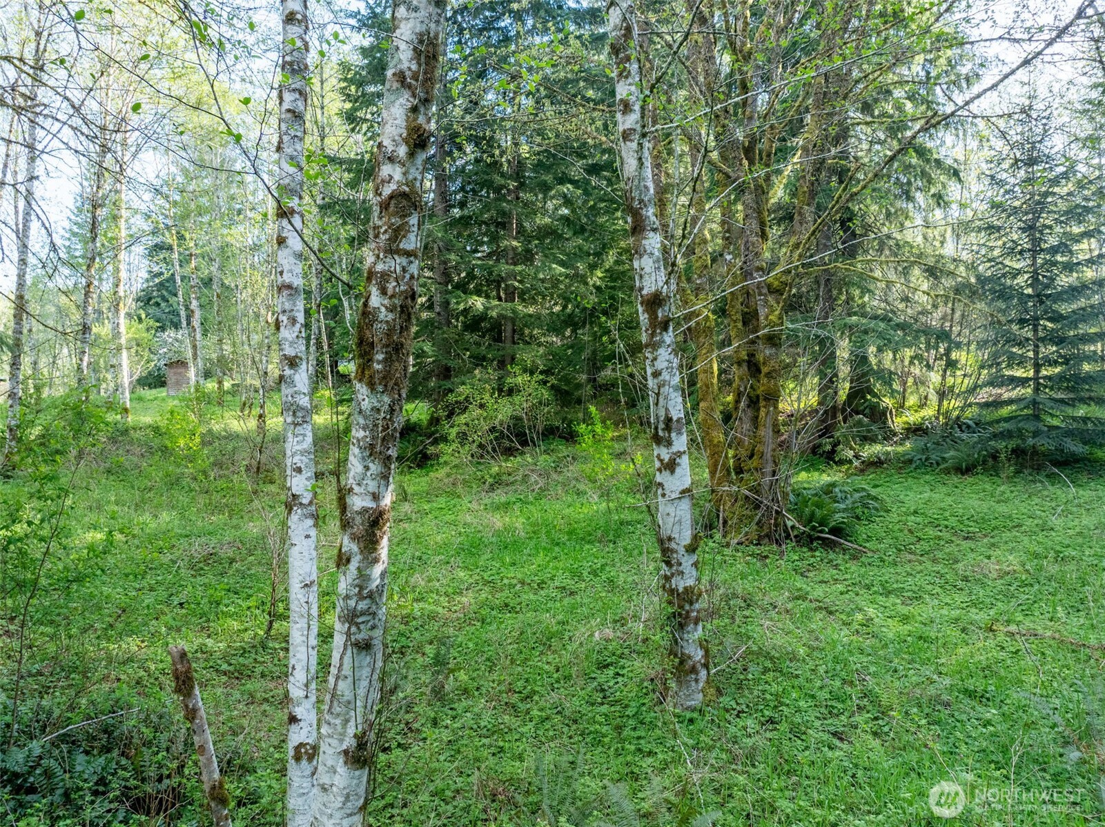 0 Davis Lake Road Property Photo 24