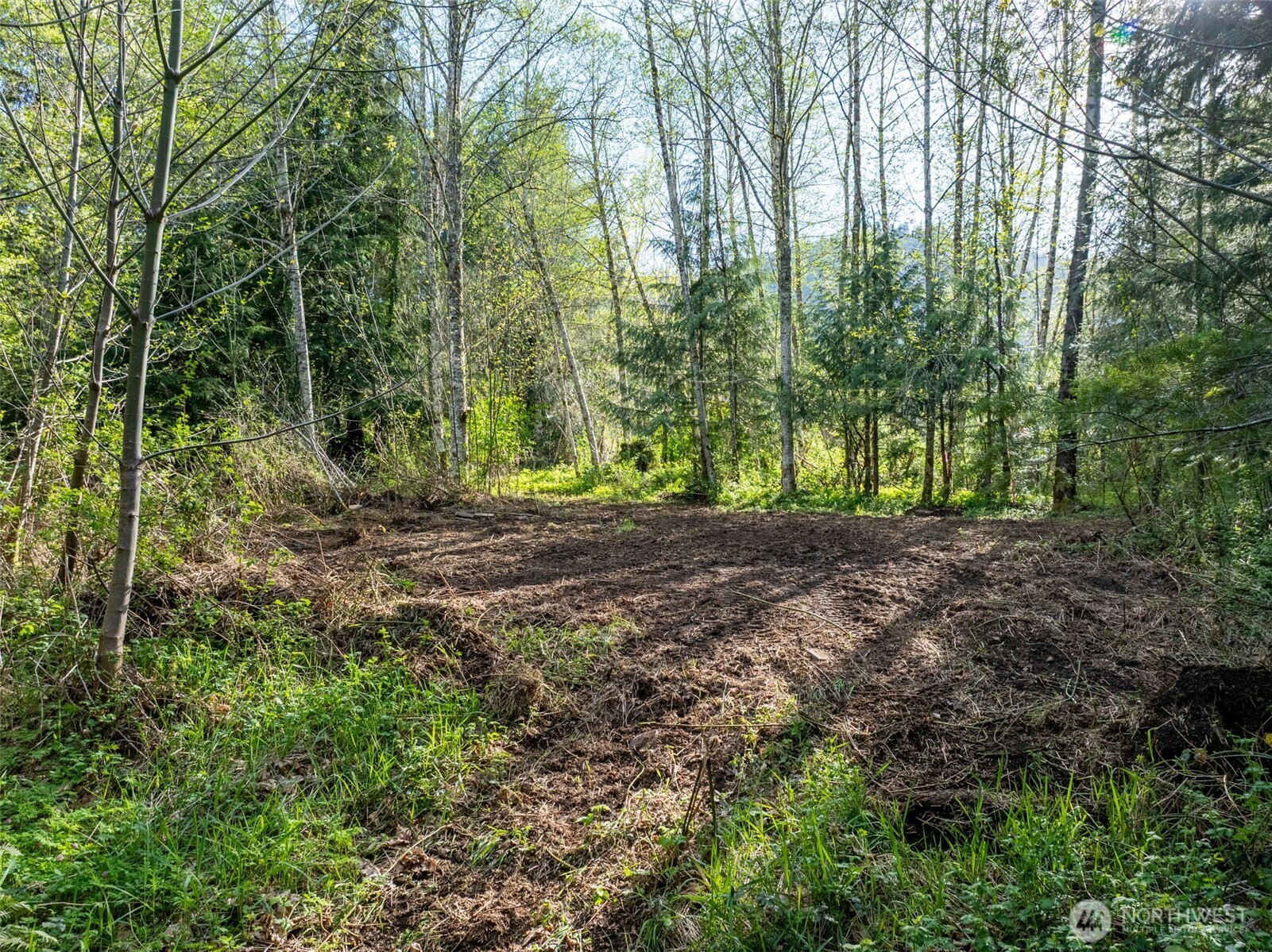 0 Davis Lake Road Property Photo 25