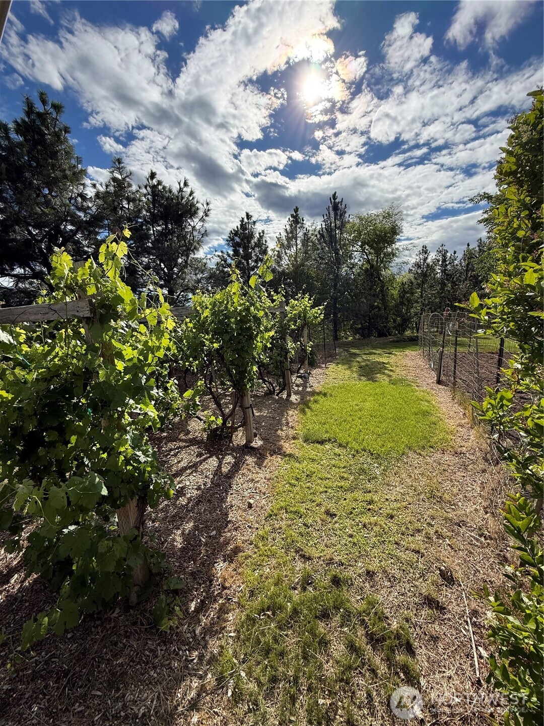 24 Valley View Drive Property Photo 6