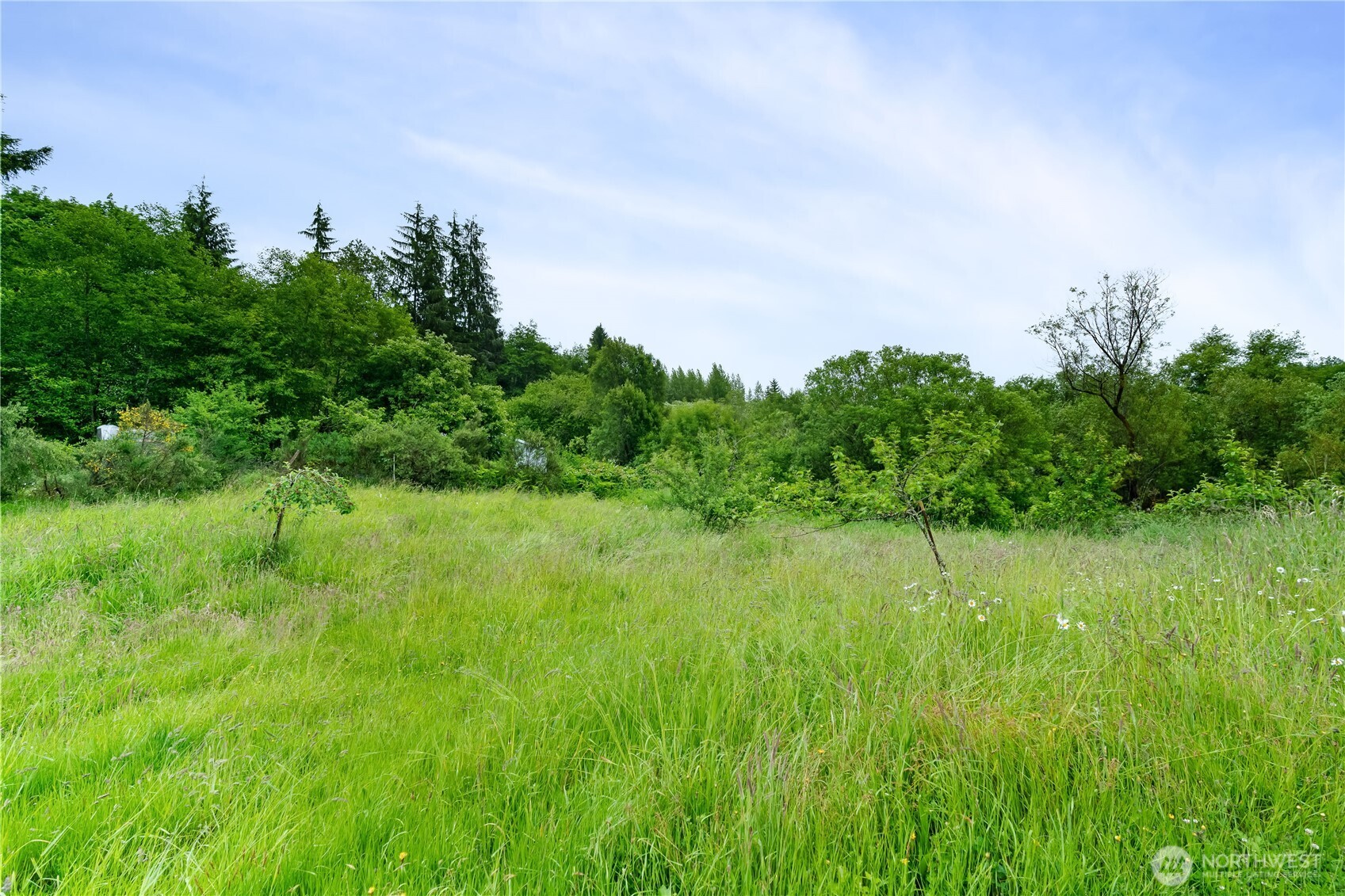 1904 North River Road Property Photo 17